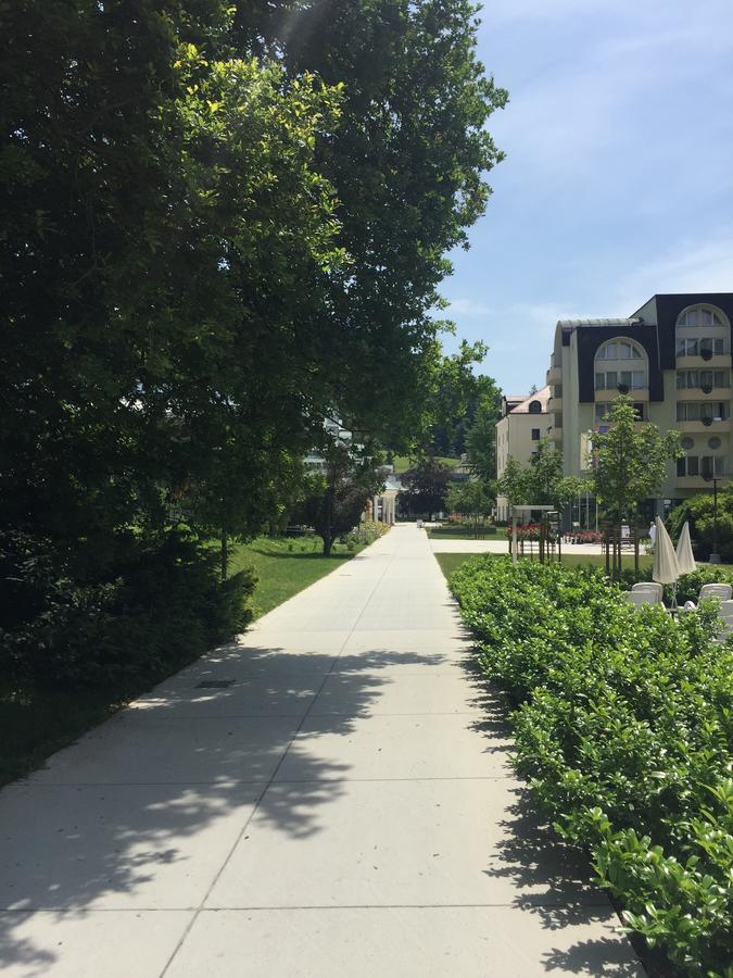 Apartment On Zdraviliski Trg 7 罗加斯卡斯拉提纳 外观 照片